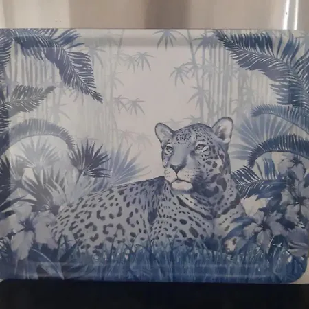 فيلة Santa Monica
